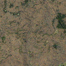 Madison County map(satellite map)