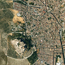 Alcalá la Real map(satellite map)