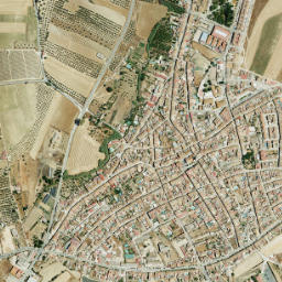 Beas map(satellite map)