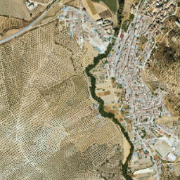 Benalúa de las Villas map(satellite map)