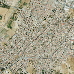 Olivares map(satellite map)