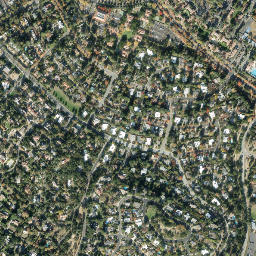 Raines Houses California High Resolution Satellite Map