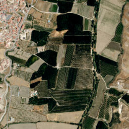 Fonelas map(satellite map)