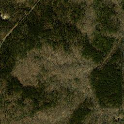 Satellite view of Magnolia Green Golf Club