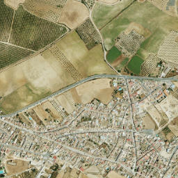 Manzanilla map(satellite map)