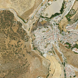 Iznalloz map(satellite map)
