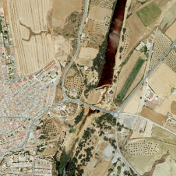 Niebla map(satellite map)