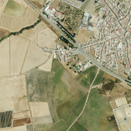 Carrión de los Céspedes map(satellite map)