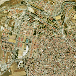 Marchena map(satellite map)