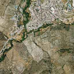 Algarinejo map(satellite map)