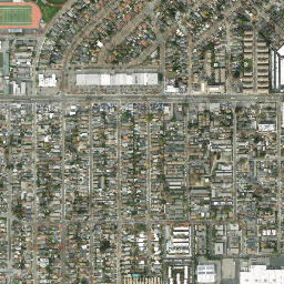 Buena Vista map(satellite map)