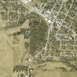 Ash Grove map(satellite map)