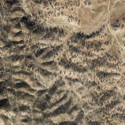 Ashrama California High Resolution Satellite Map