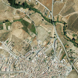Hinojos map(satellite map)