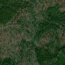 9018-9128 Cattail Road, Chesterfield, VA High Resolution Satellite Map