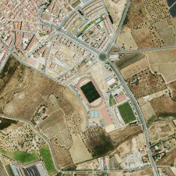 Cartaya map(satellite map)