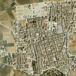 Benamejí map(satellite map)