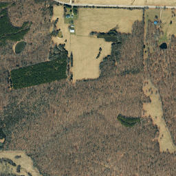 6197 Missouri 17 Houston MO 65483 High Resolution Satellite Map