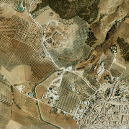 Palenciana map(satellite map)