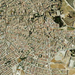 Osuna map(satellite map)