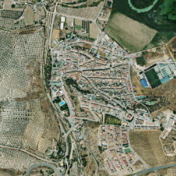 Cuevas Bajas map(satellite map)