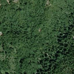 Butano Park California High Resolution Satellite Map