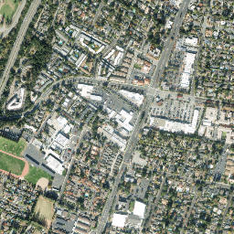 Shannon California High Resolution Satellite Map