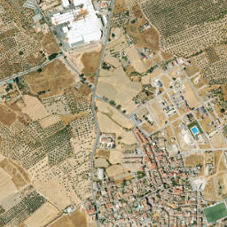 Pulianas map(satellite map)