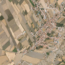 Albuñán map(satellite map)