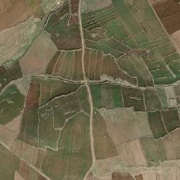 Oyalı map(satellite map)