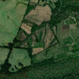 Livingston County map(satellite map)