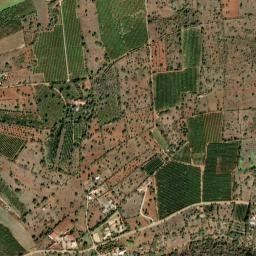 Silves map(satellite map)