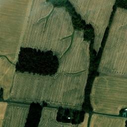 Throgmorton Rd Kevil KY 42053 High Resolution Satellite Map