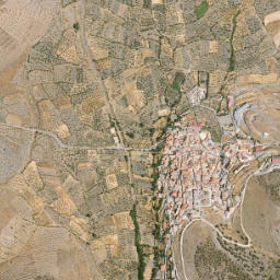 Ferreira map(satellite map)