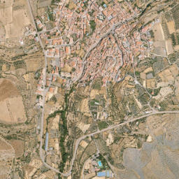 Huéneja map(satellite map)