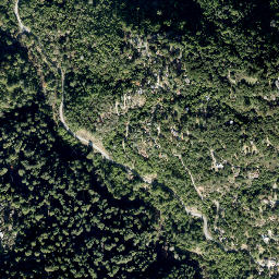 Lexington Hills map(satellite map)
