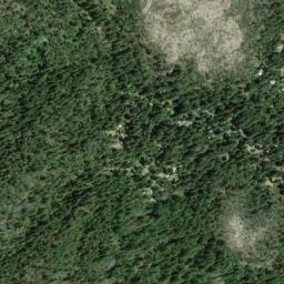 Forest Springs California High Resolution Satellite Map