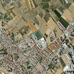 Alhendín map(satellite map)
