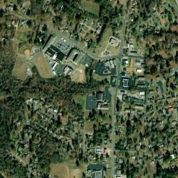 Reidland map(satellite map)