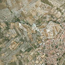 Nigüelas map(satellite map)