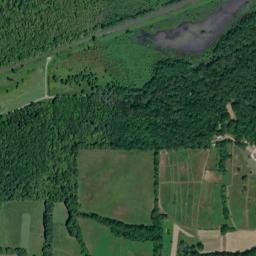 Bluff Road Puxico MO 63960 High Resolution Satellite Map