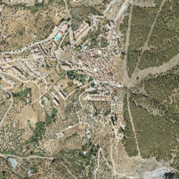 Alcaucín map(satellite map)
