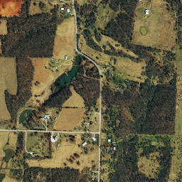 11121-11135 Fishbone Rd Granby MO High Resolution Satellite Map