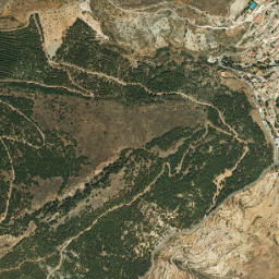 Murtas map(satellite map)