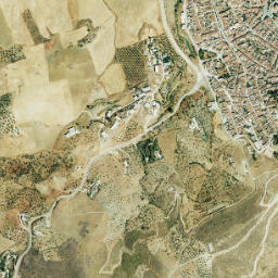 Ardales map(satellite map)