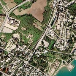 Carthage map(satellite map)