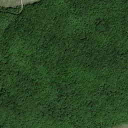 Cumberland Falls Road, Daniel Boone National Forest High Resolution Satellite Map