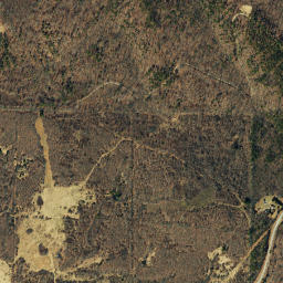 Forest Road 769, Mark Twain National Forest High Resolution Satellite Map