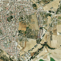 Bornos map(satellite map)