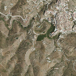 Arenas map(satellite map)